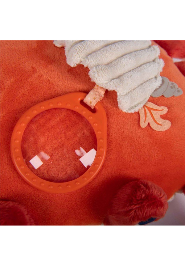 Gran Cangrejo de actividades Paulie MOULIN ROTY