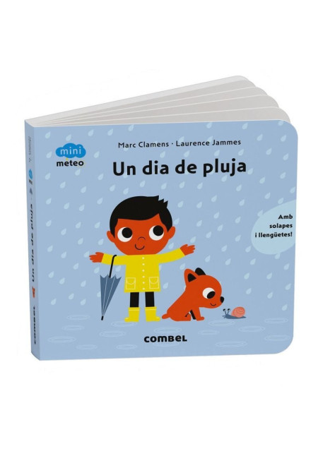 LIBRO Un Dia De Pluja - Mini Meteo