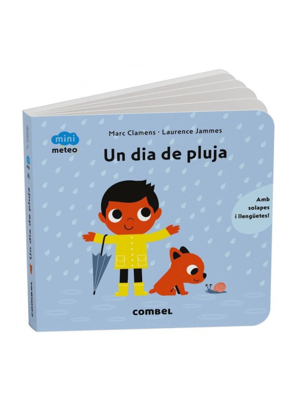 LIBRO Un Dia De Pluja - Mini Meteo