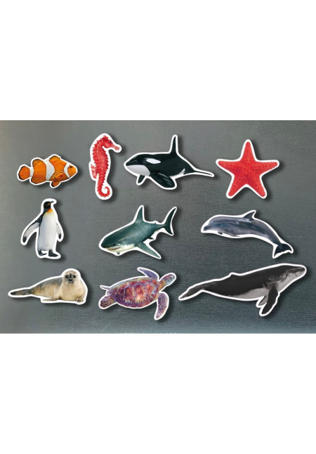 Piezas Magnéticas en Bambú de Animales Marinos