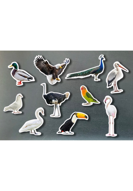 Piezas Magnéticas de Bambú de Aves
