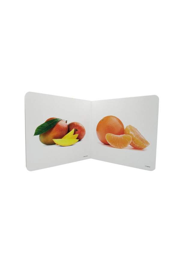 LIBRO Las Frutas 2