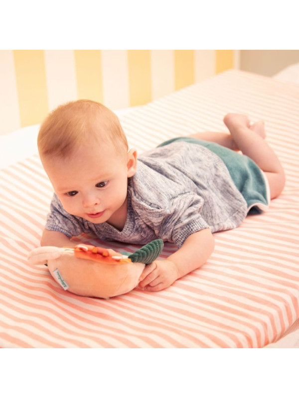 JACK ESPEJO LILLIPUTIENS