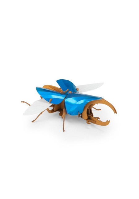 Puzzle 3D escarabajo Hércules MOULIN ROTY