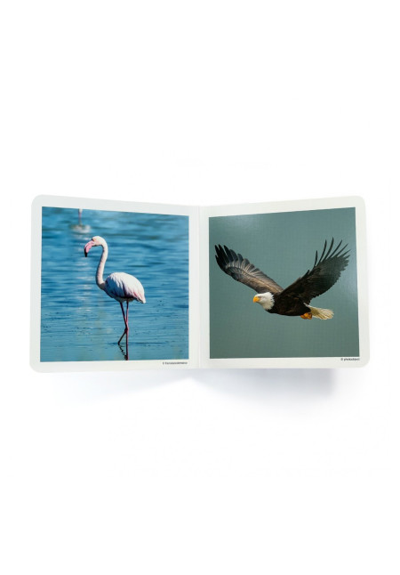LIBRO Aves