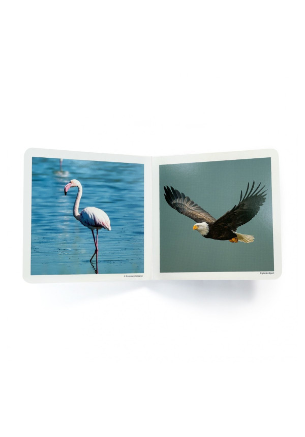 LIBRO Aves