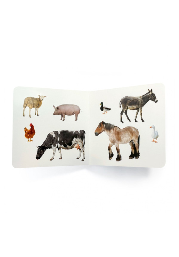 LIBRO Los Animales de la Granja 2