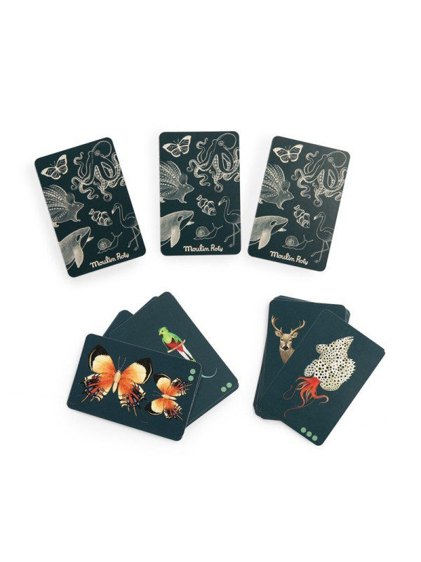  Juego Busca y Encuentra Tout autour du monde MOULIN ROTY