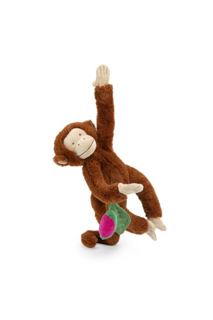 Mono Mochica de actividades Forêt Mawa MOULIN ROTY