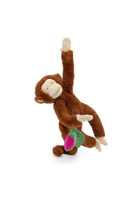 Mono Mochica de actividades Forêt Mawa MOULIN ROTY